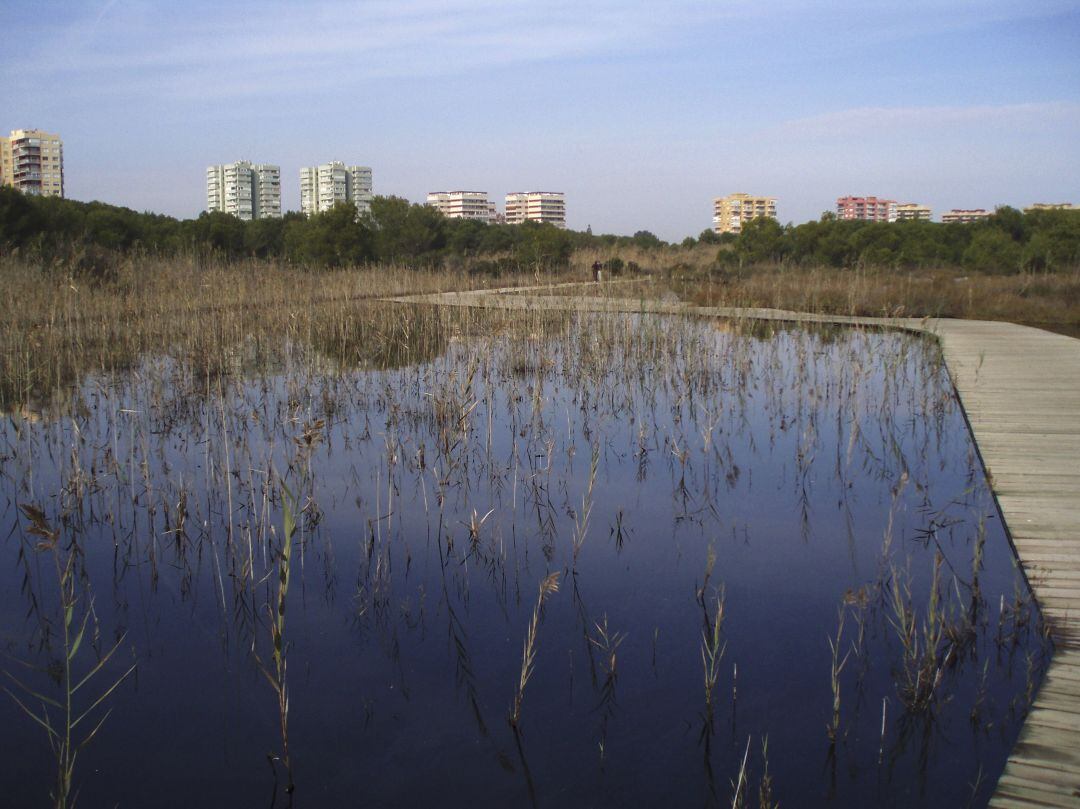 Albufera de València (archivo)