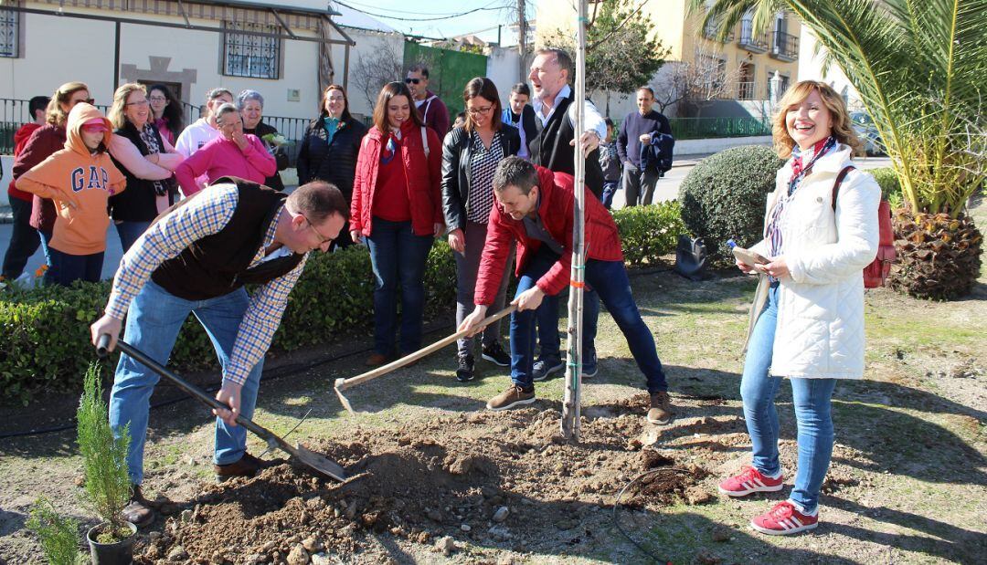 De izquiera a derecha, el concejal de Mantenimiento Urbano, Javier Padorno; el alcalde de Jaén, Julio Millán, y la edil de Medio Ambiente, María del Carmen Angulo.