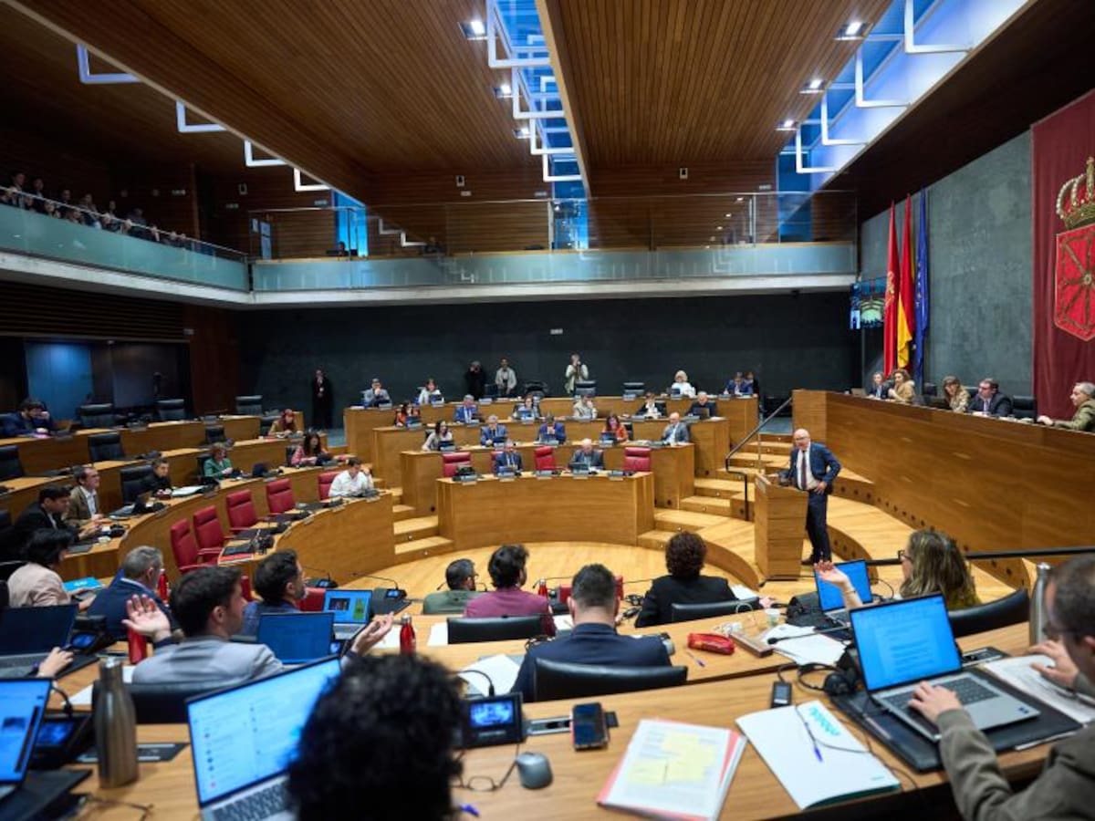 El Parlamento de Navarra urge a que la Policía Foral esté en El Sadar, pero con un apoyo mínimo