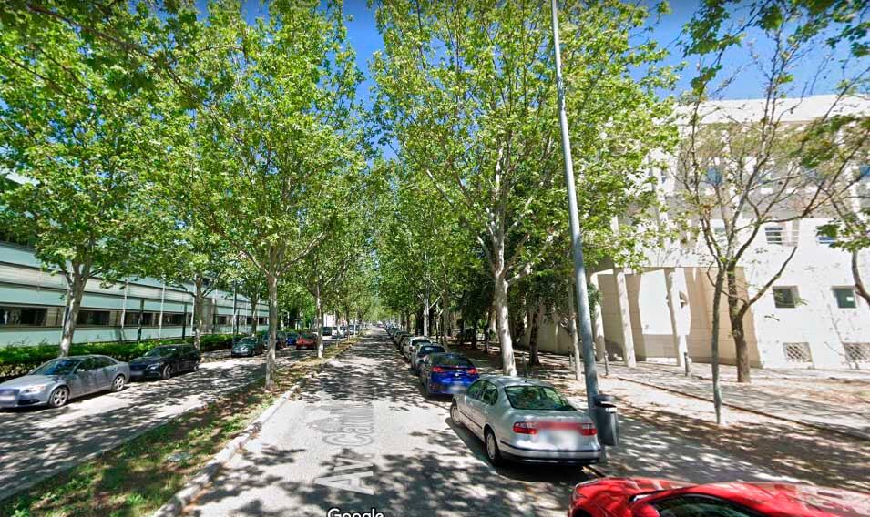 Avenida Camilo José Cela en el campus de Ciudad Real experimentará una gran remodelación