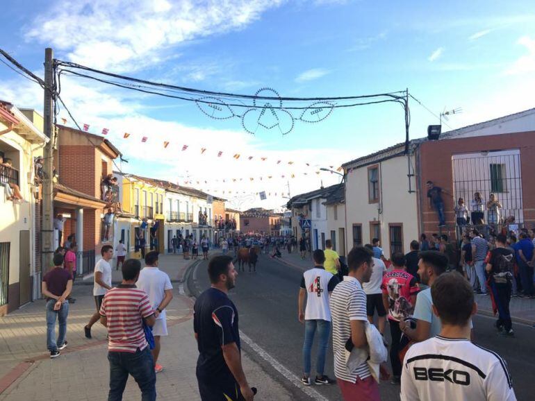 Instantánea de un encierro de Nava del Rey