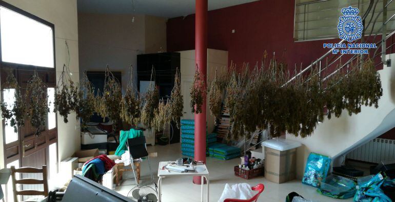 Imagen de uno de los laboratorios de marihuana desmantelados en Pepino (Toledo)