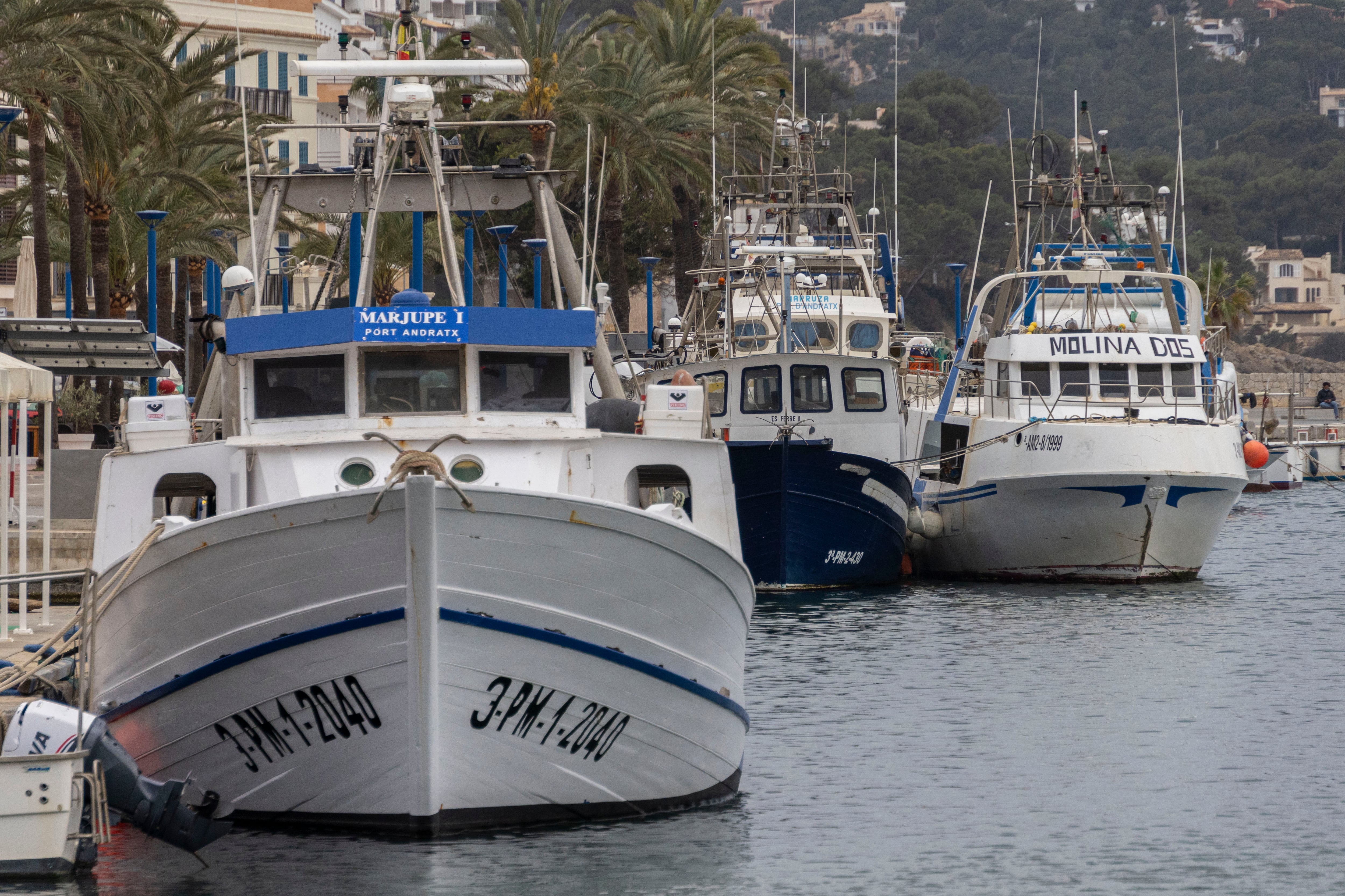 Barcos de pesca amarrados en el Port de Andratx. EFE/CATI CLADERA