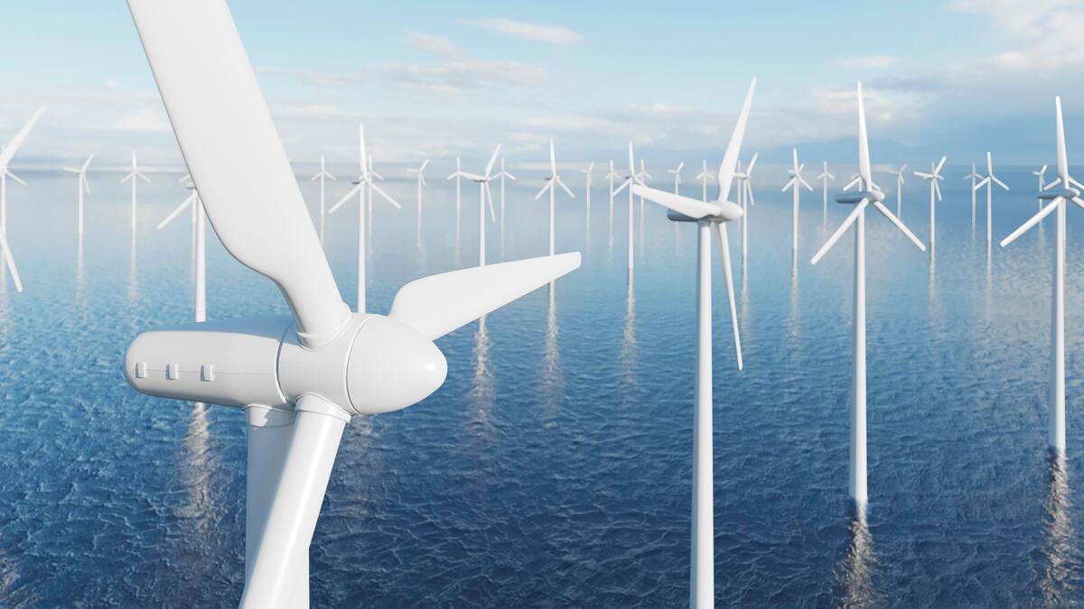 L’eòlica marina al Cap de Creus perjudicaria 135 espècies vulnerables