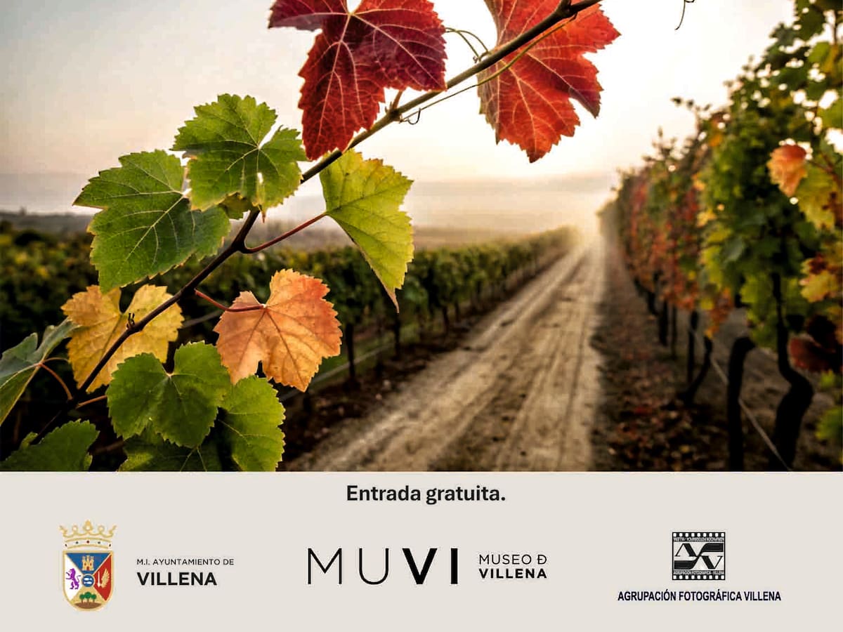 “De la cepa a la boca”, la exposición que la Agrupación Fotográfica Villena presenta con motivo de ENOTUR 2026
