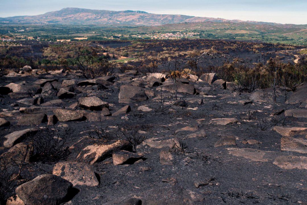 -FOTODELDIA- MONTERREI (OURENSE) 27072020.- Vista de una zona calcinada, este lunes, tras estabilizarse el incendio forestal declarado en Monterrei (Ourense) el pasado viernes. Una vez estabilizado, los equipos de extinción tratan de acabar por completo con las llamas del incendio forestal que se inició el viernes en el municipio de Monterrei (Ourense), y que junto a los ya apagados en Verín y Viana do Bolo han quemado casi mil hectáreas de monte. EFEBrais Lorenzo