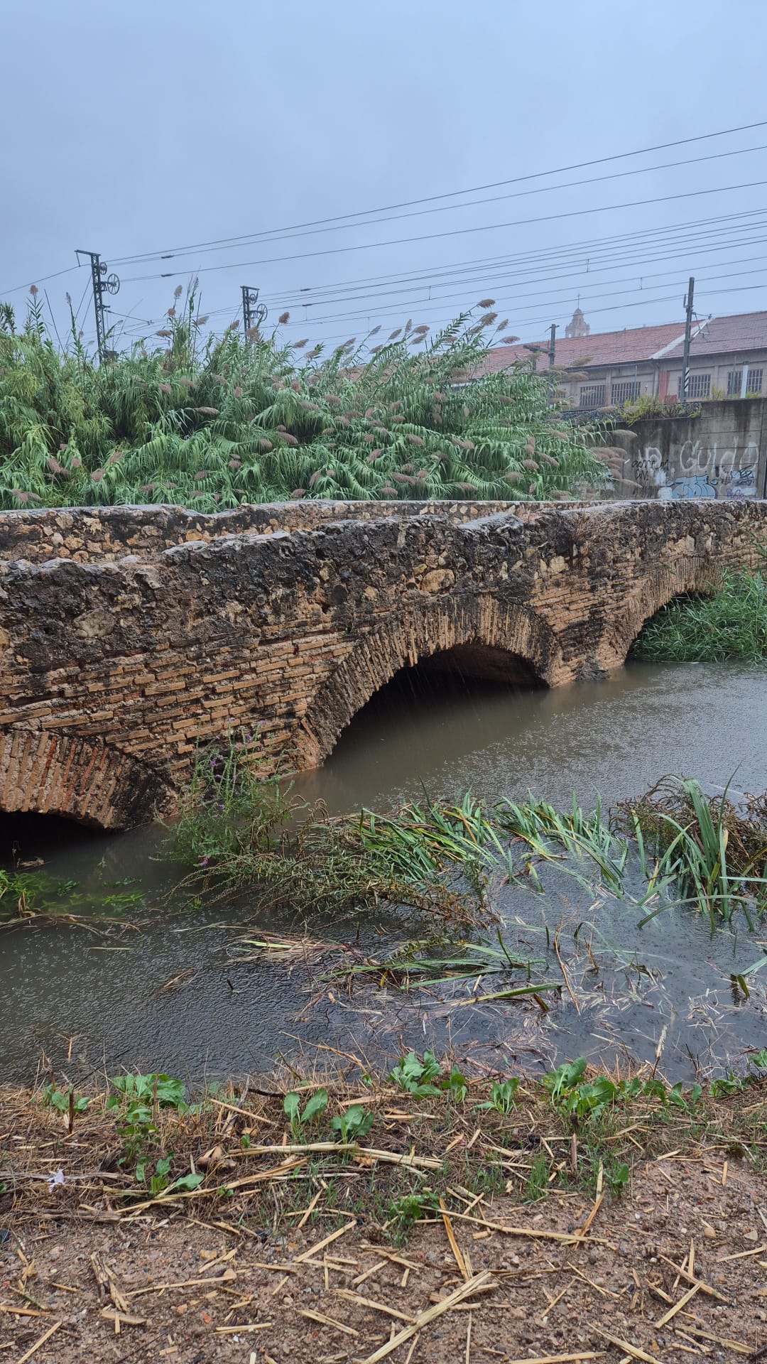 Barranco de Barxeta a la altura del Pont de L&#039; Horta de Carcaixent. Fuente: Ajuntament de Carcaixent