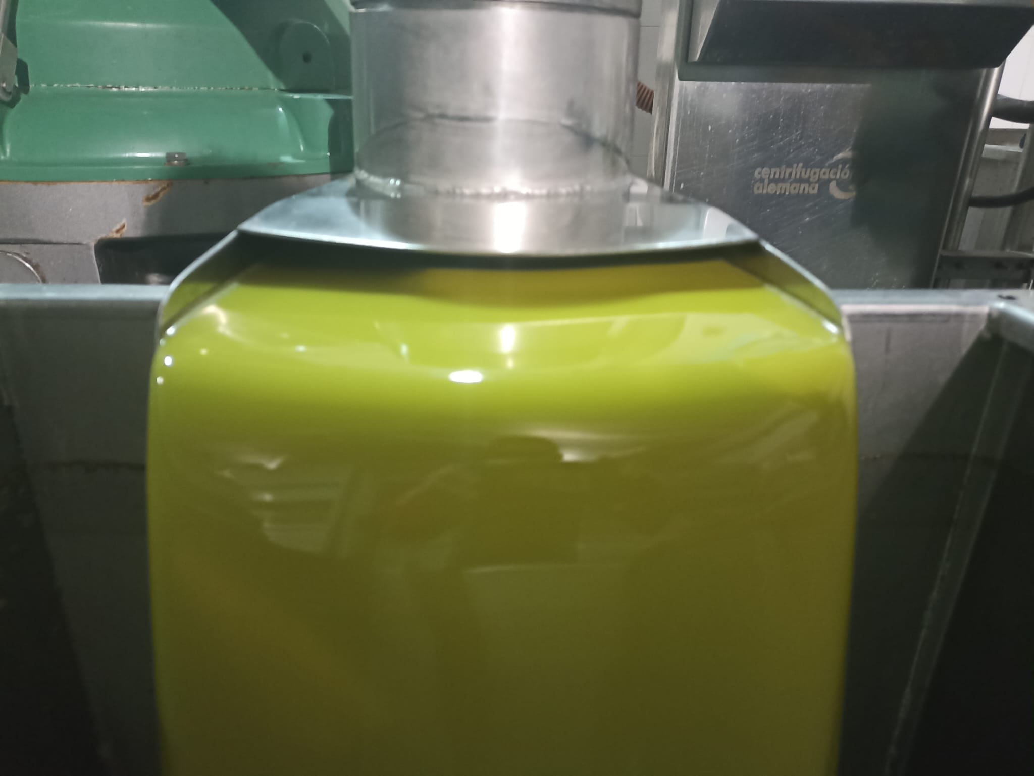 Elaboración de aceite en una cooperativa jiennense.