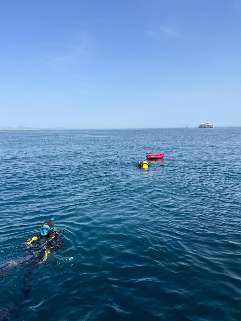 Colocación de hidrófonos en el marco del proyecto Cabo Rorcual.