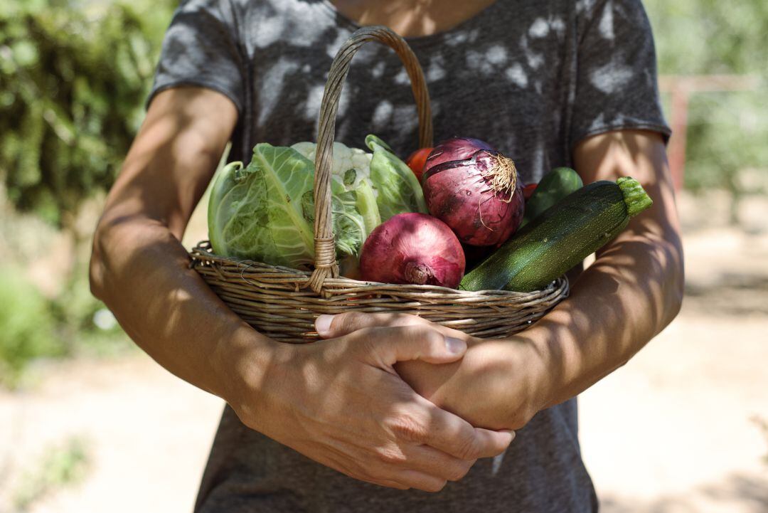 La agricultura ecológica agrupa a 3.700 operadores en la Región de Murcia