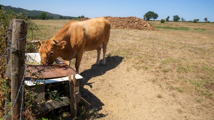 La sequía preocupa en Álava