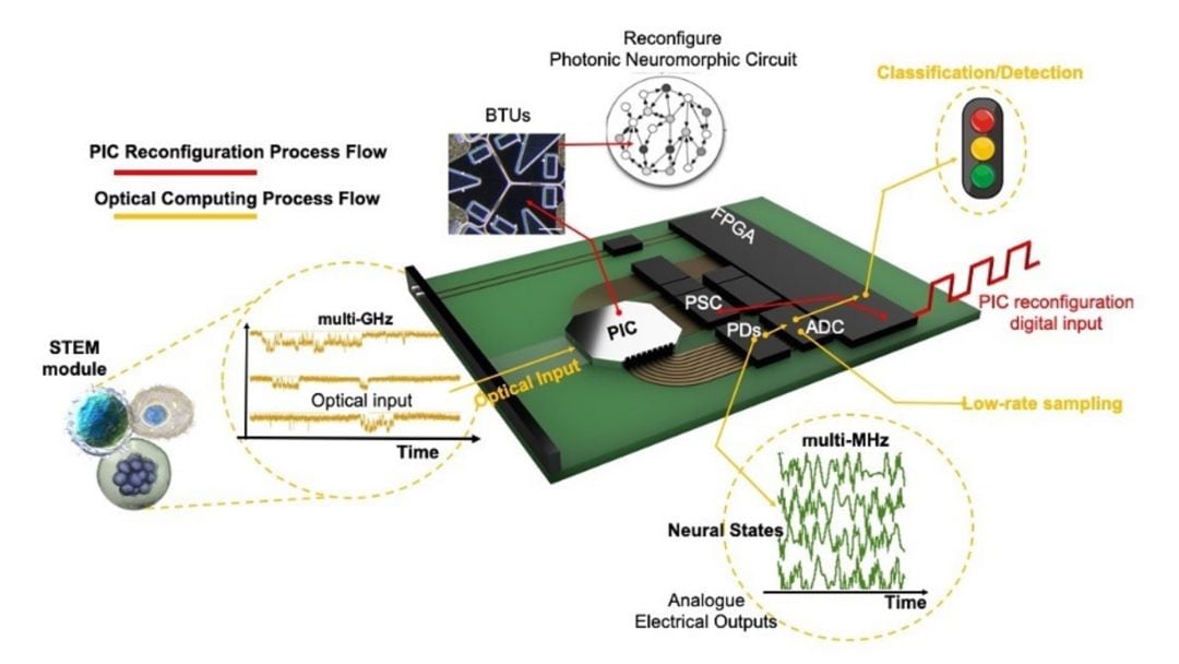 La UPV trabaja en el desarrollo de un chip fotónico que podría ayudar a detectar células cancerosas