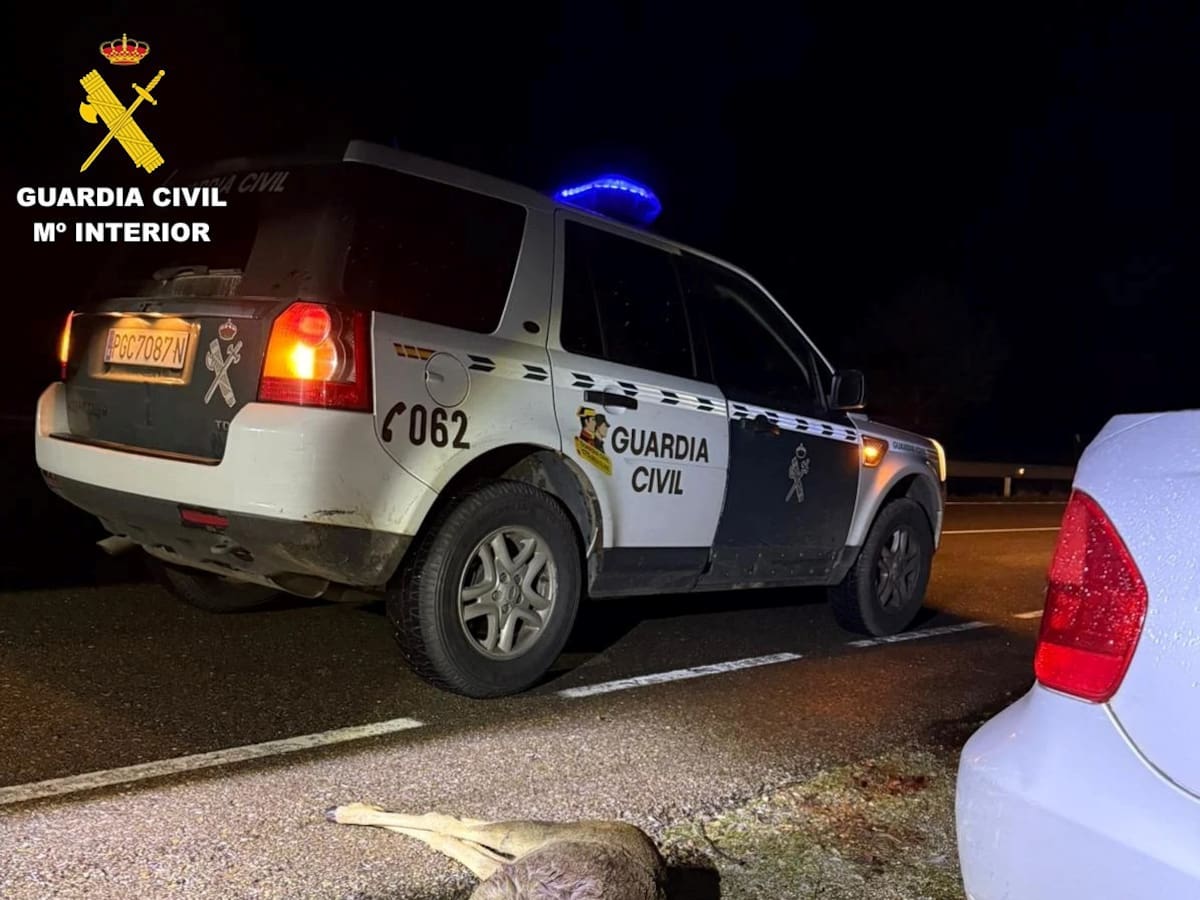 Cazados en Salamanca con un corzo muerto en el maletero del coche