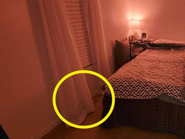 Se puede ver la cola del animal tras la cortina.