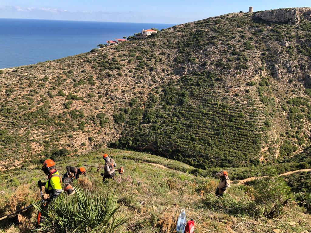 Trabajos de creación de las franjas cortafuegos, en la zona de Les Rotes en Dénia.