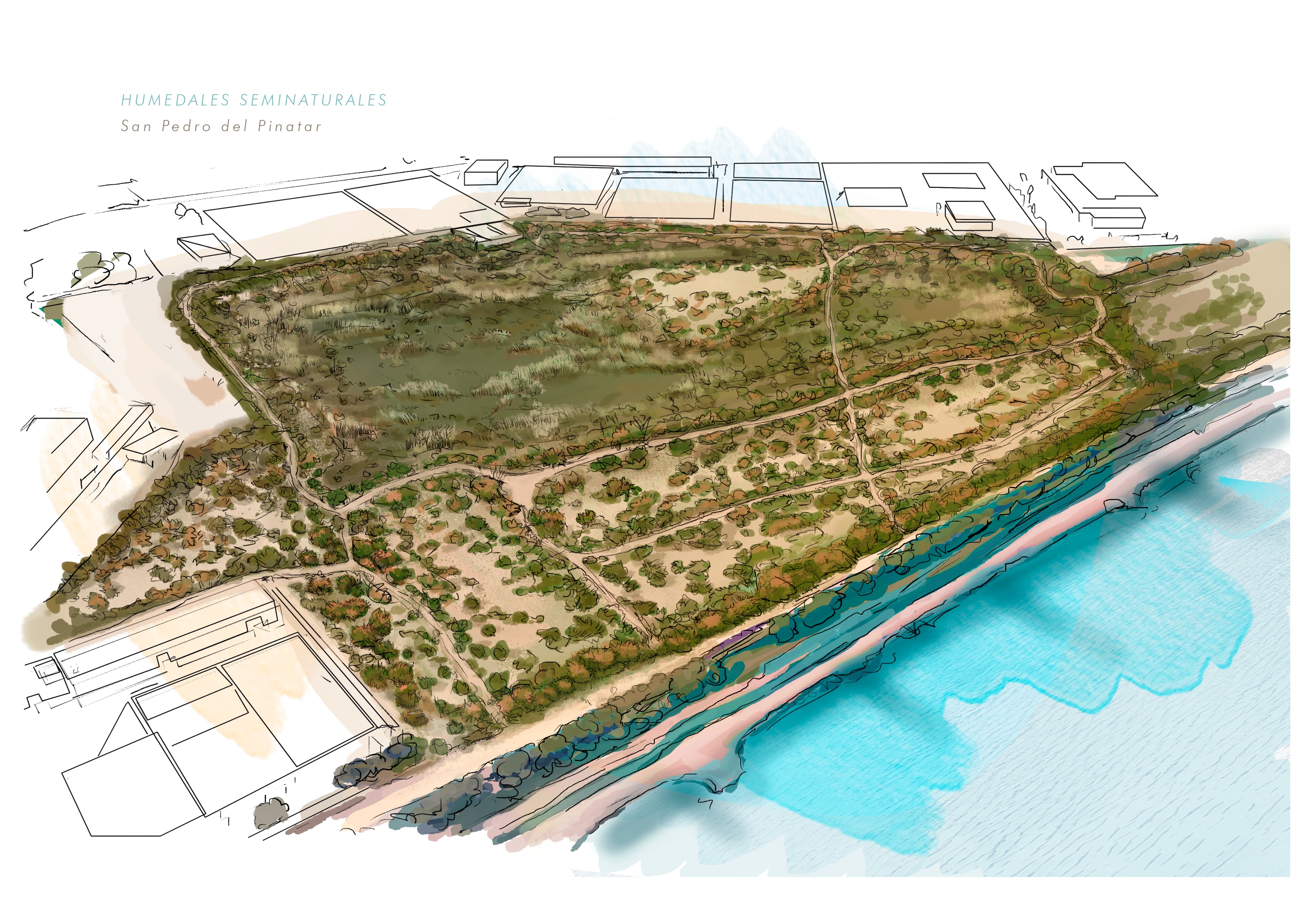 Los humedales seminaturales promovidos por el MITECO en el ámbito del Mar Menor cuentan ya con una declaración ambiental favorable