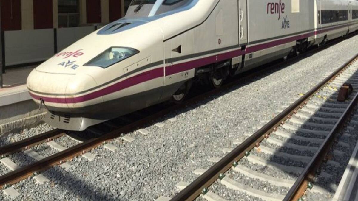 Unanimidad en la defensa del tren