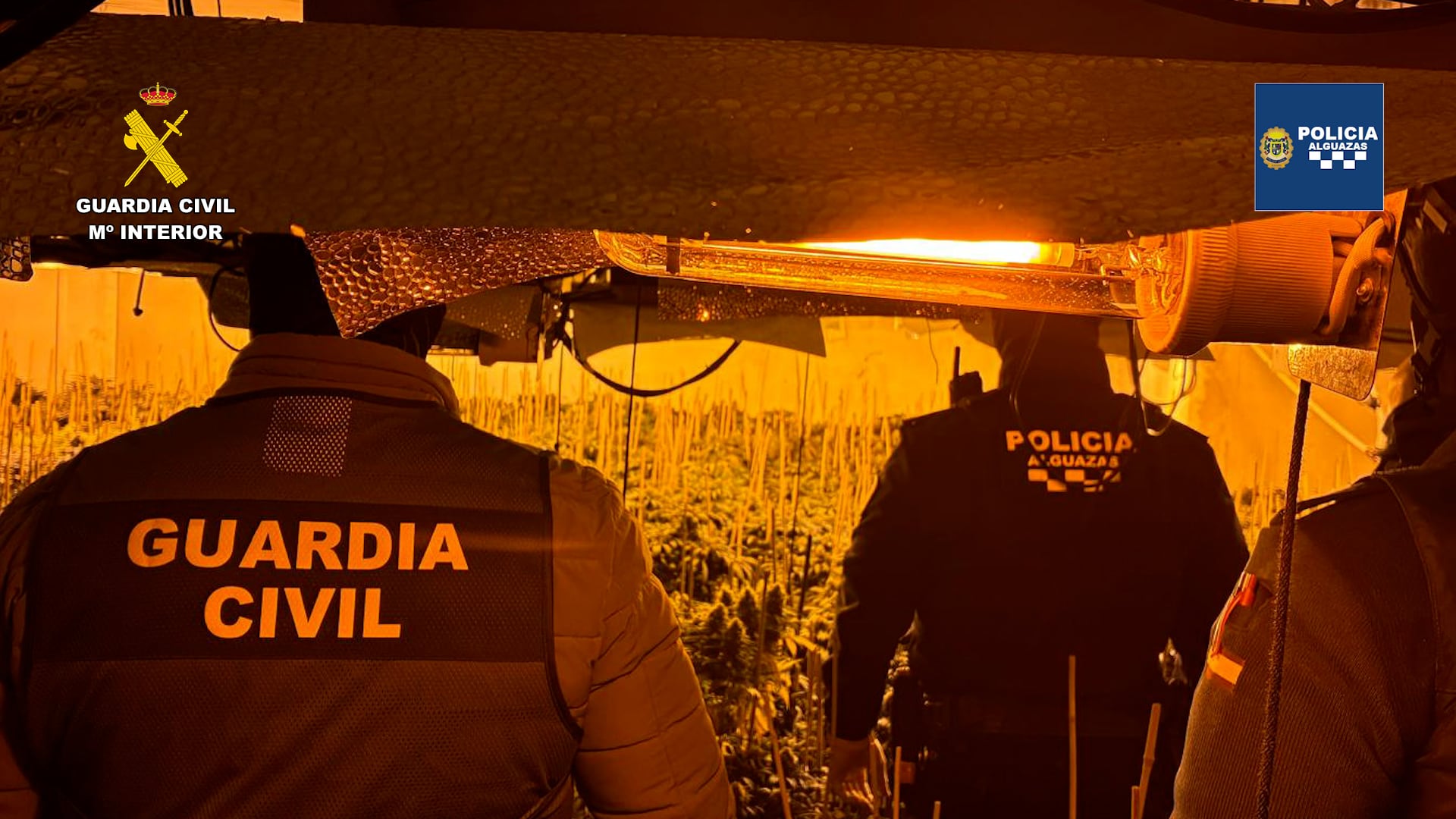 Vivienda utilizada como invernadero tipo indoor para el cultivo masivo de marihuana