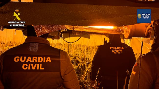 Vivienda utilizada como invernadero tipo indoor para el cultivo masivo de marihuana