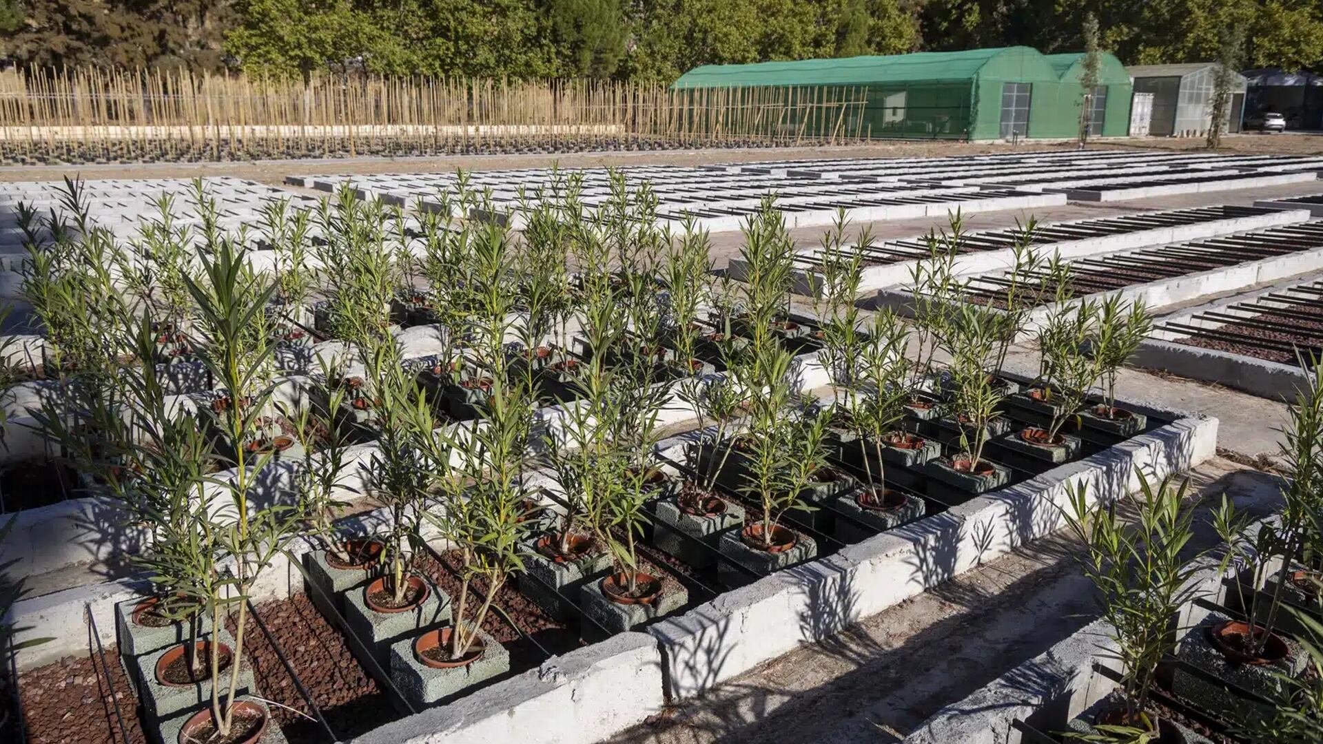 Presentación del proyecto ‘Málaga Viva Lab’ en Ardales