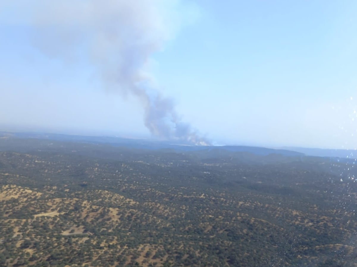 Imagen del incendio forestal declarado en Espiel.