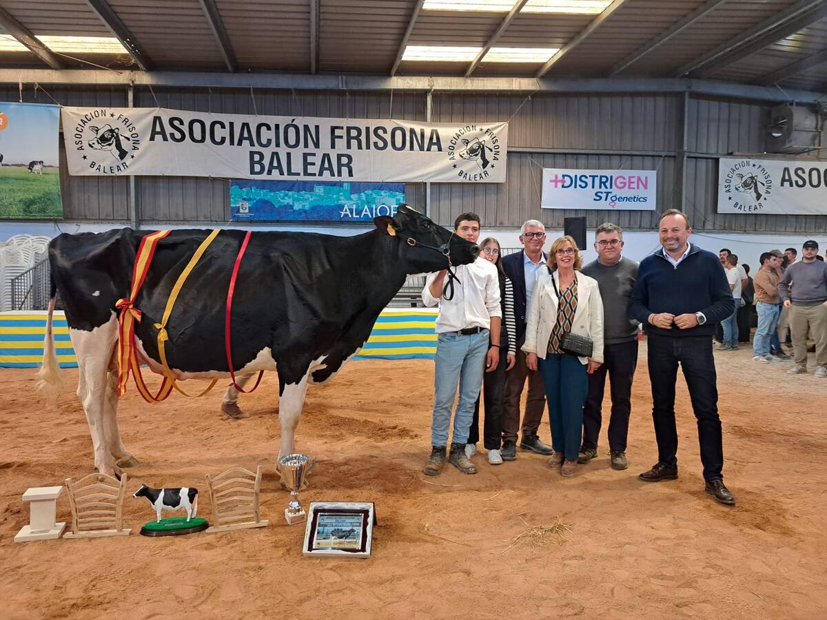 Torrellefuda Unix Gala es corona com la Vaca Gran Campiona