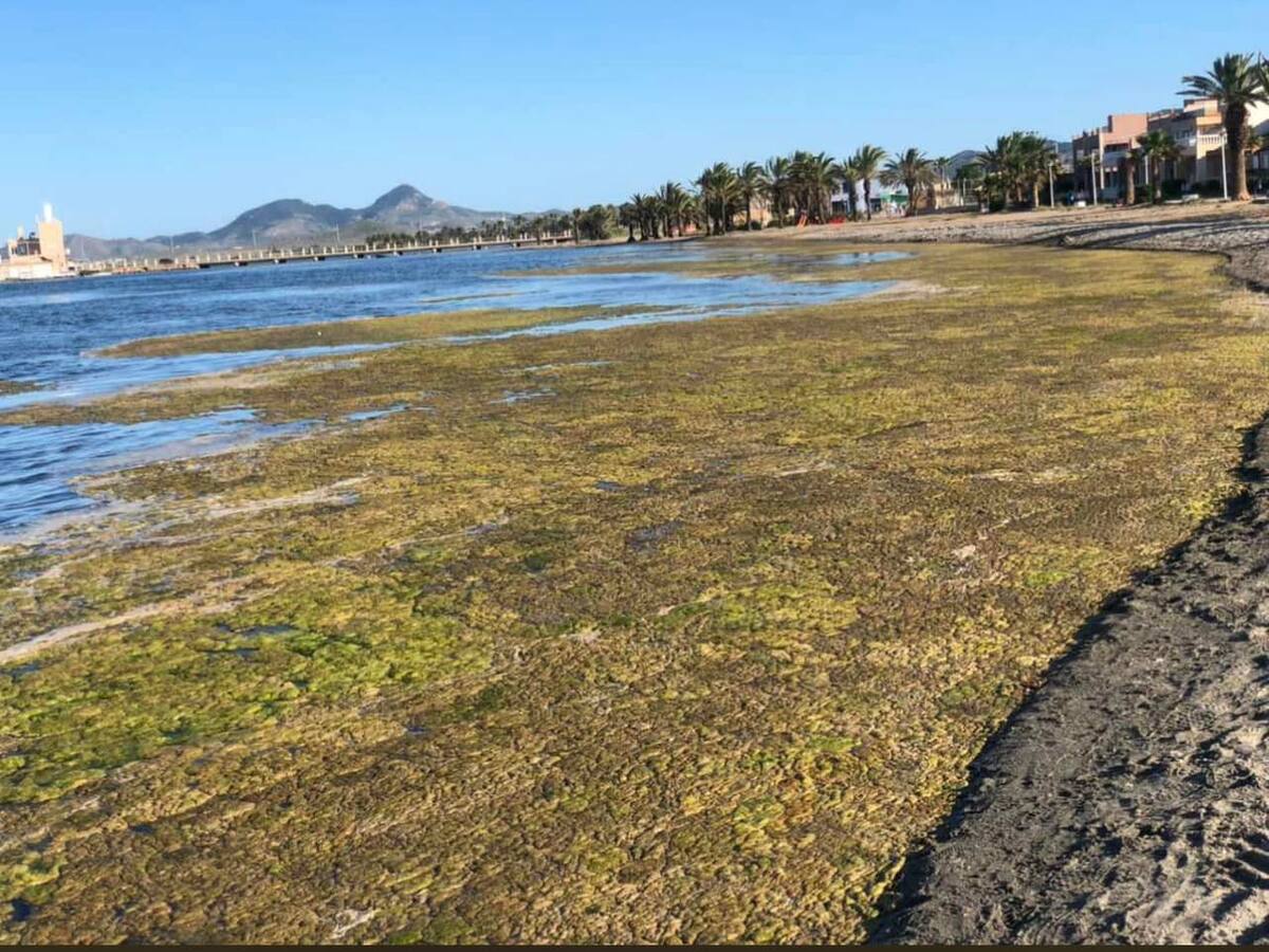 Rosell García, presidenta de la asociación de vecinos de Los Urrutias