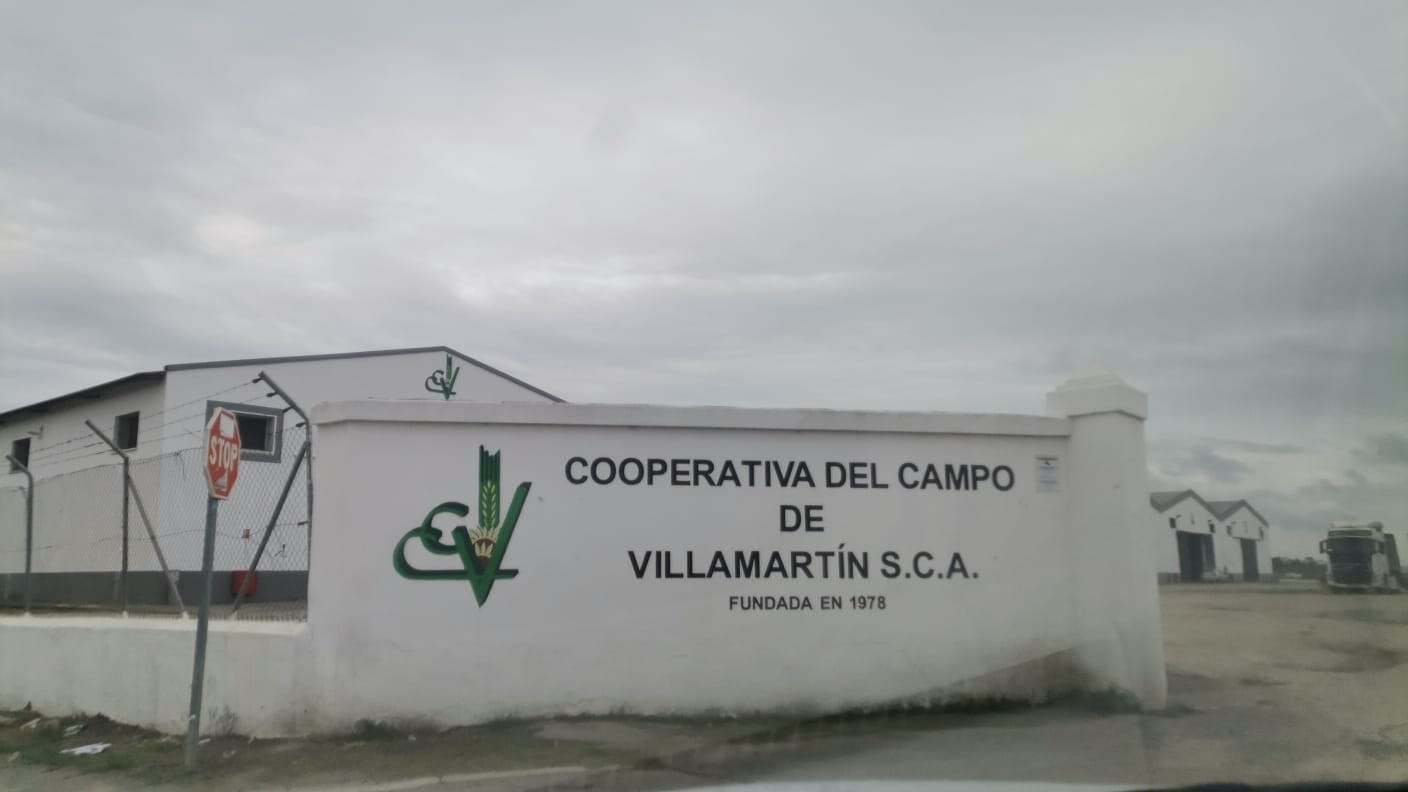 En la cooperativa de Villamartín se producen unas 7.000 toneladas de girasol