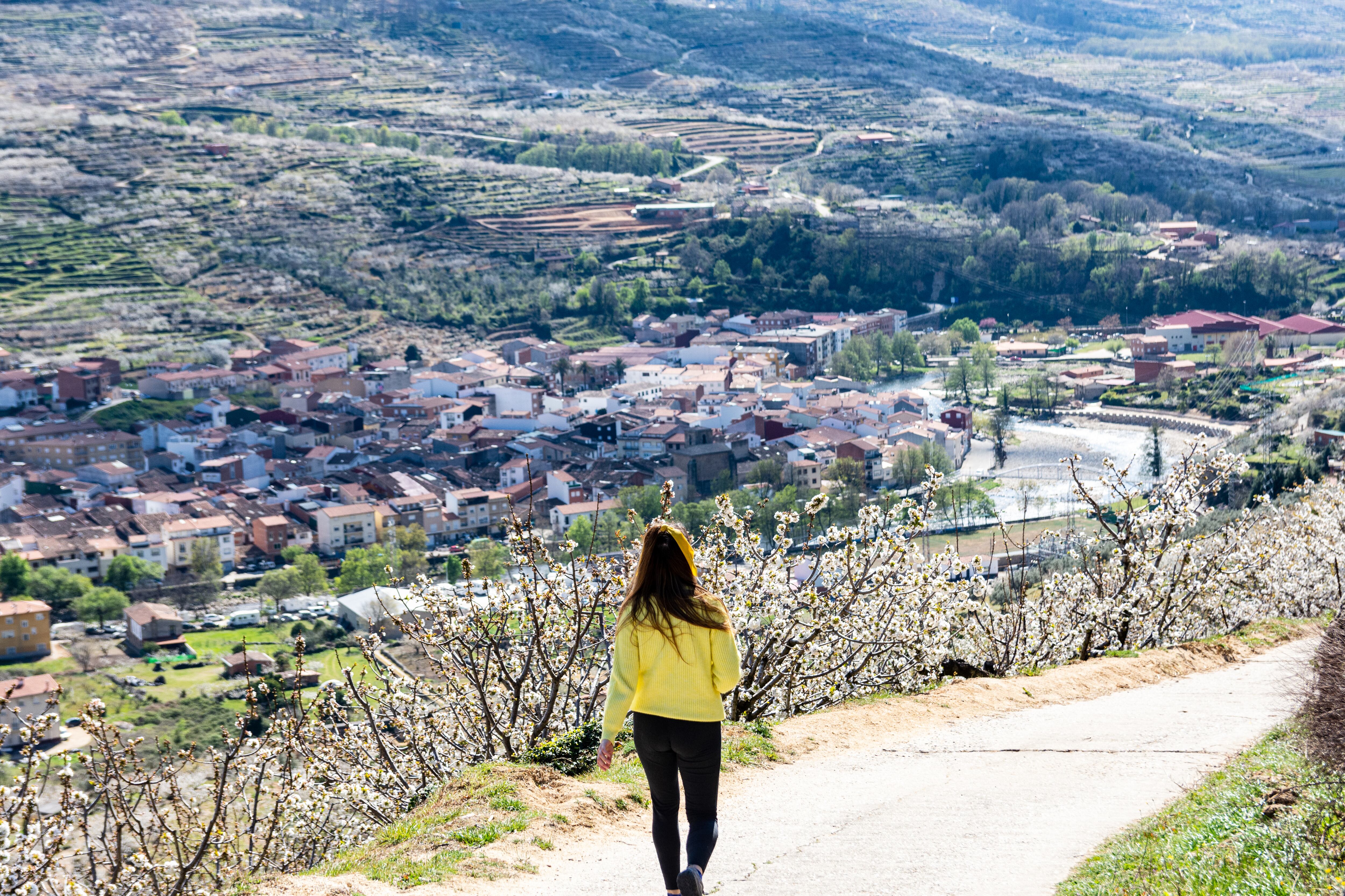 Las alergias este año han llegado ya y se van a quedar hasta que apriete el calor fuerte