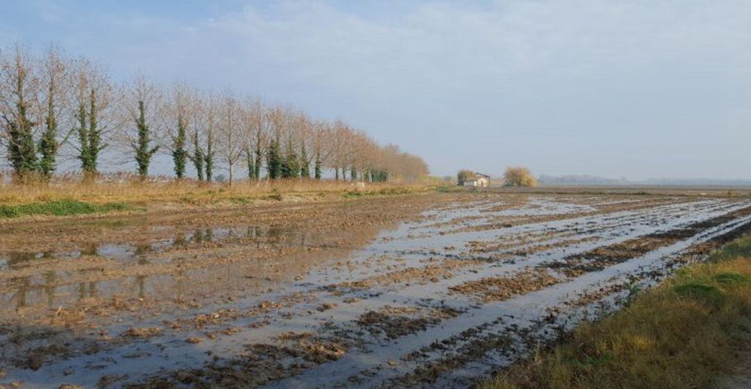 Las tormentas anegaron algunos cultivos