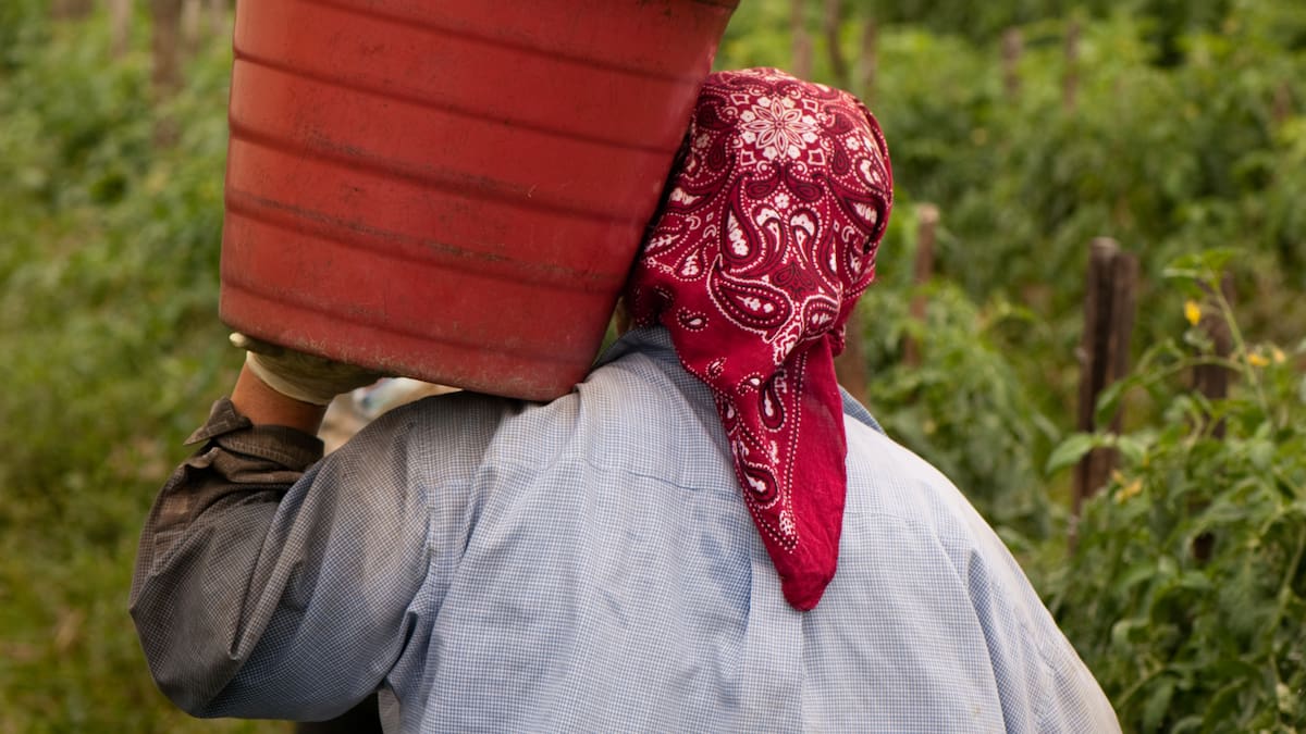 Vox exige, el PP esquiva y el PSOE rechaza: así divide la 'prioridad nacional' a la región