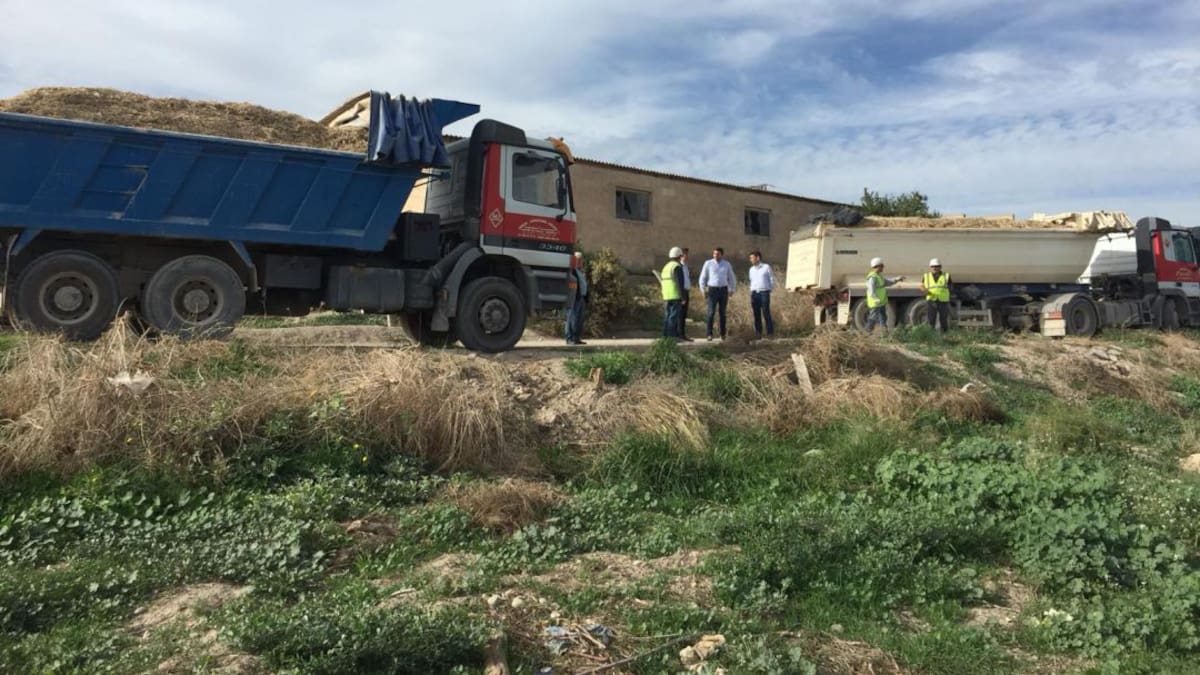 Identifican en Lorca 13 especies vegetales para la descontaminación de suelos
