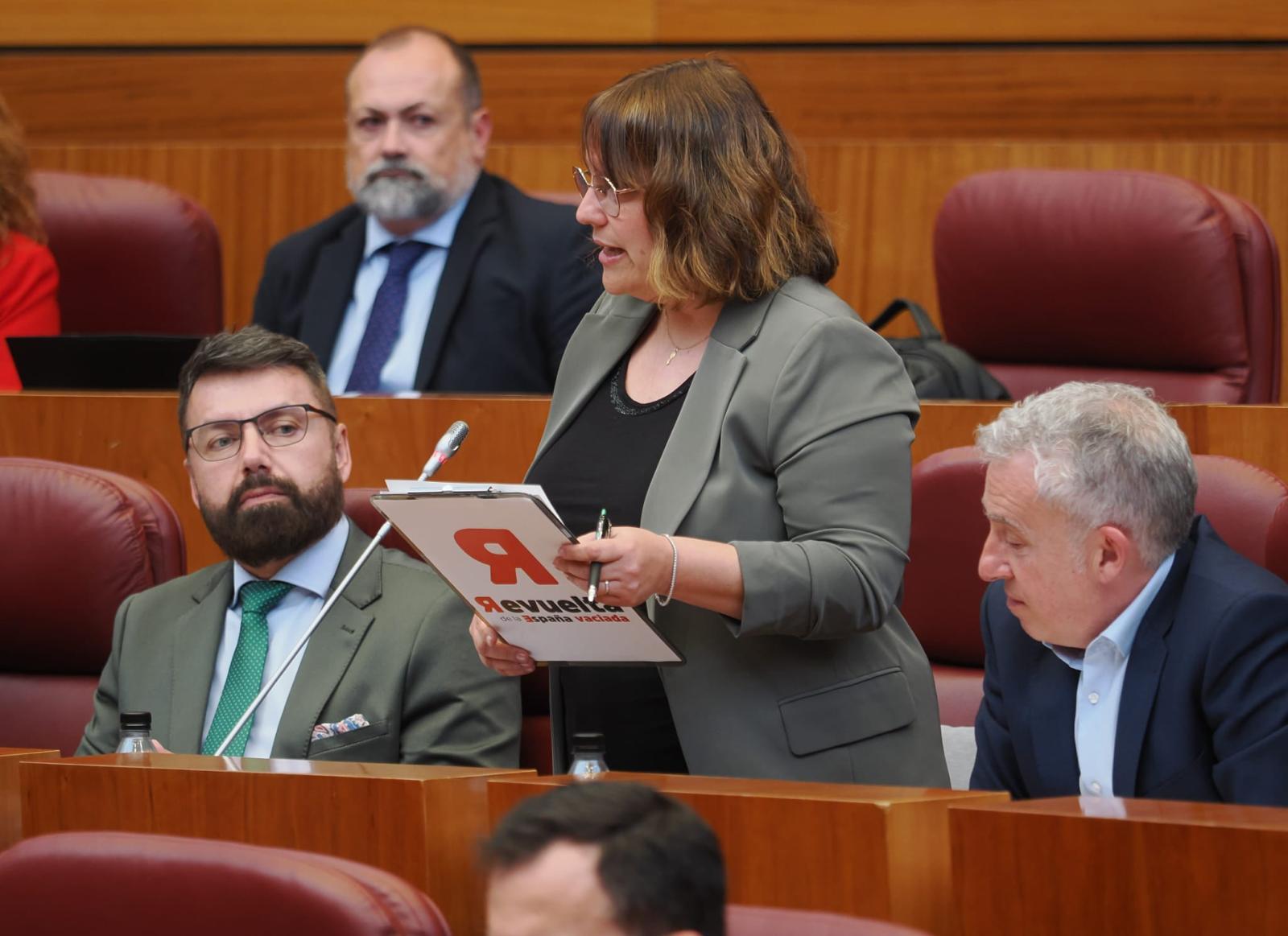 Ángel Ceña, procurador de Soria ¡YA!.