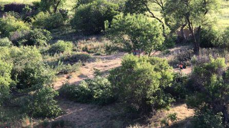 Imagen de la parcela antes de la tala