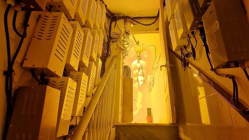 Nueva operación policial contra el tráfico de drogas en la capital.