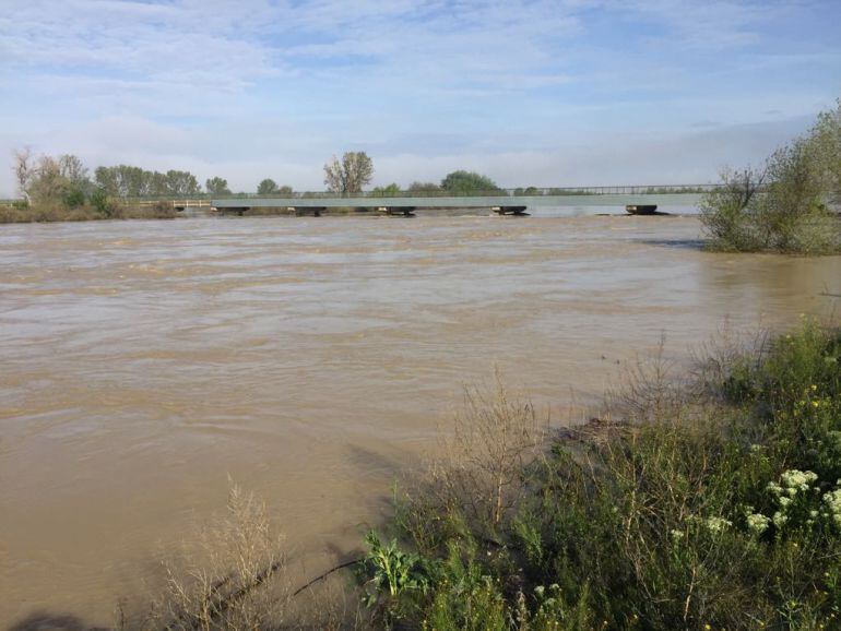 El Ebro, junto al puente de la A-1107 en Pina de Ebro