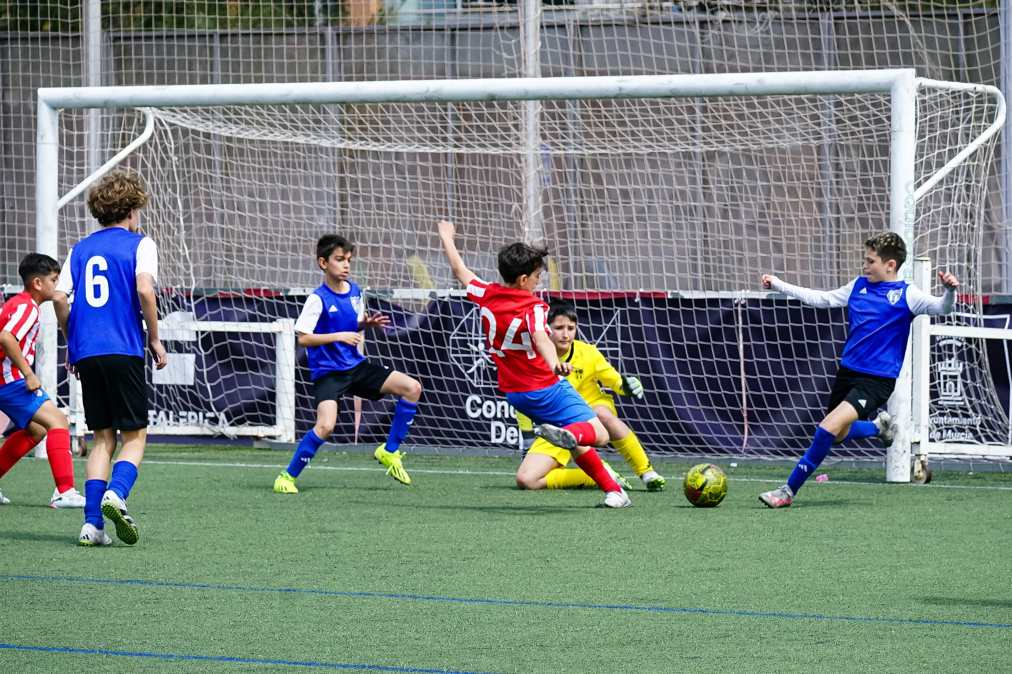 XV Torneo Ciudad de Murcia