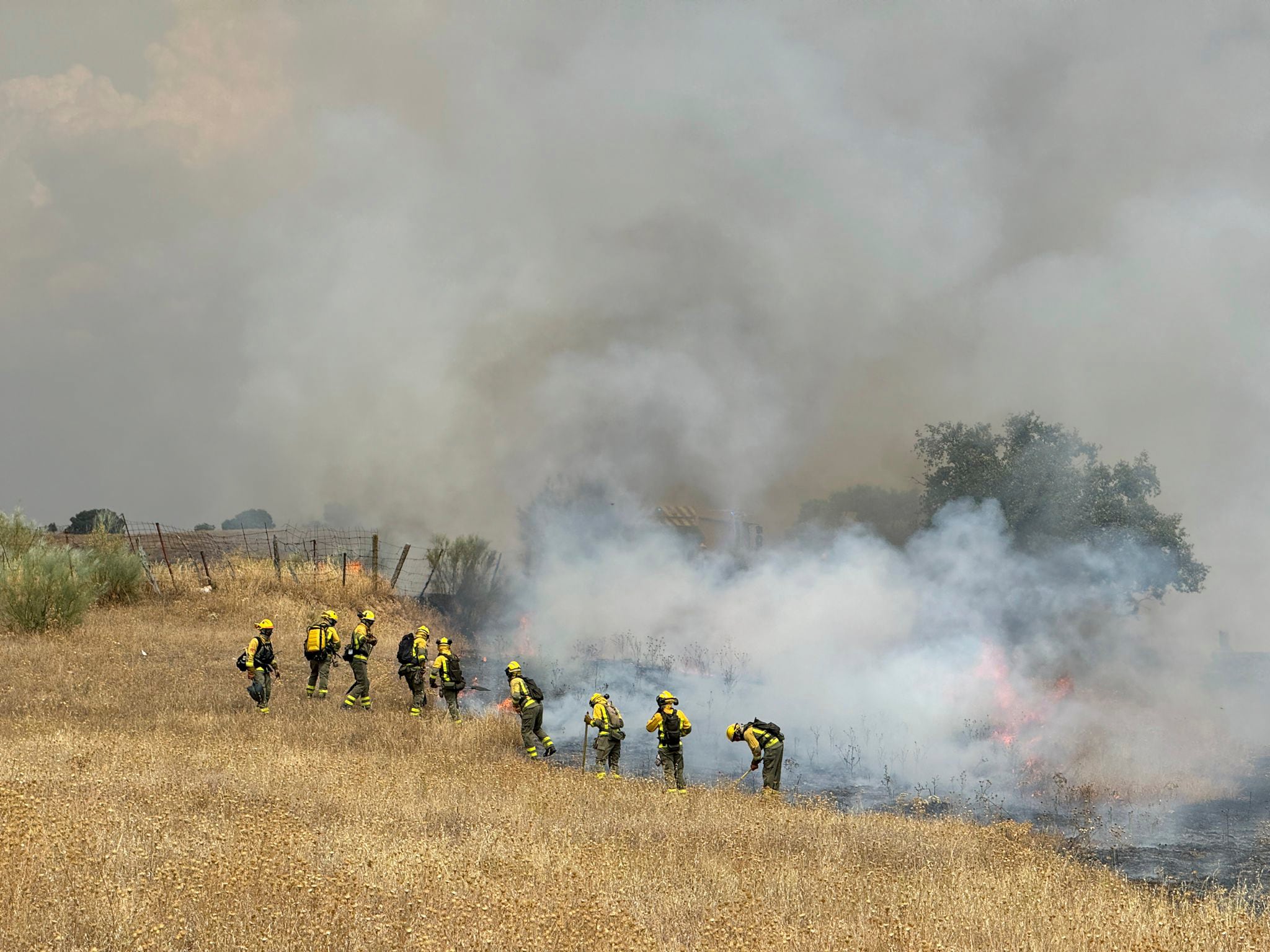 Brigadas Forestales, Agentes Forestales y BomberosCM intentan controlar un incendio declarado este jueves, en Tres Cantos (Comunidad de Madrid).