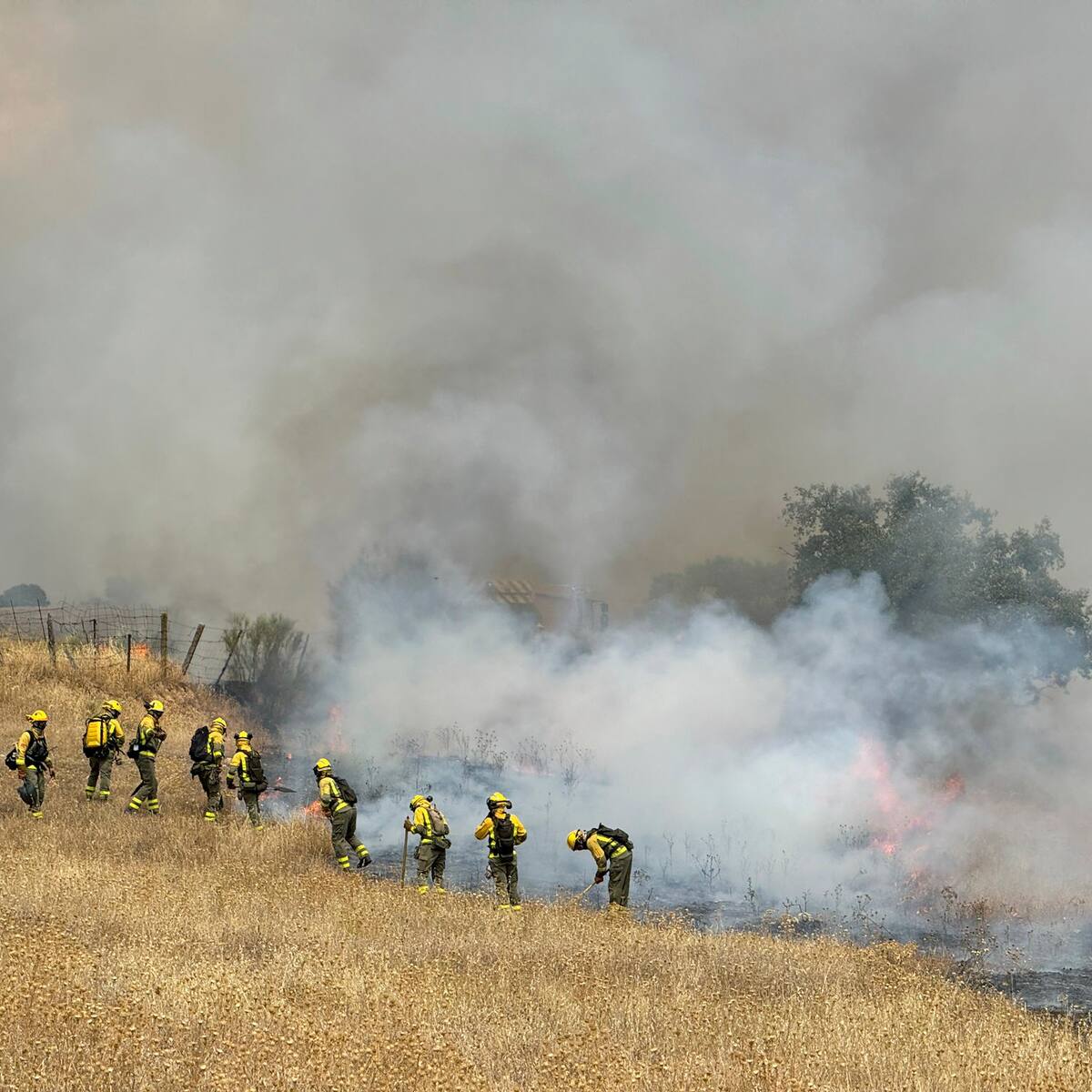 Vecinos por Colmenar Viejo reclaman ayudas para los afectados por el incendio forestal de agosto