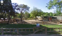 La herramienta de Google ofrece imágenes del interior del Zoo de Madrid