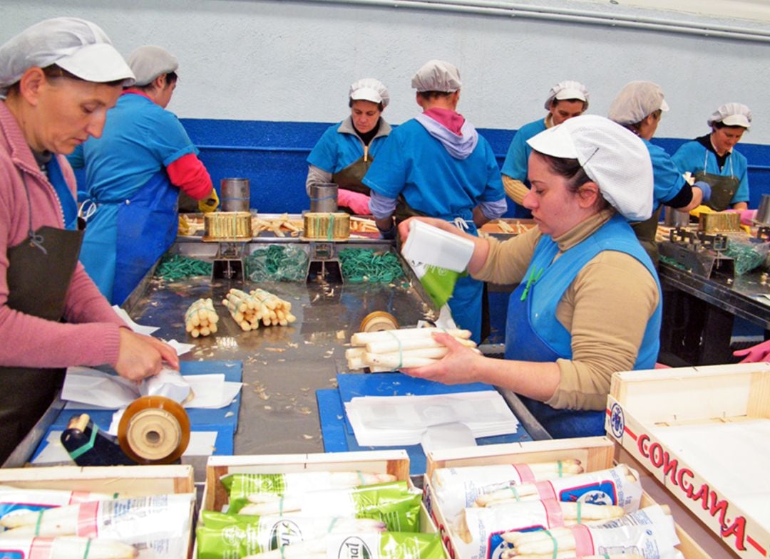 Varias mujeres trabajan en la línea de envasado del espárrago en la fábrica de Congana.