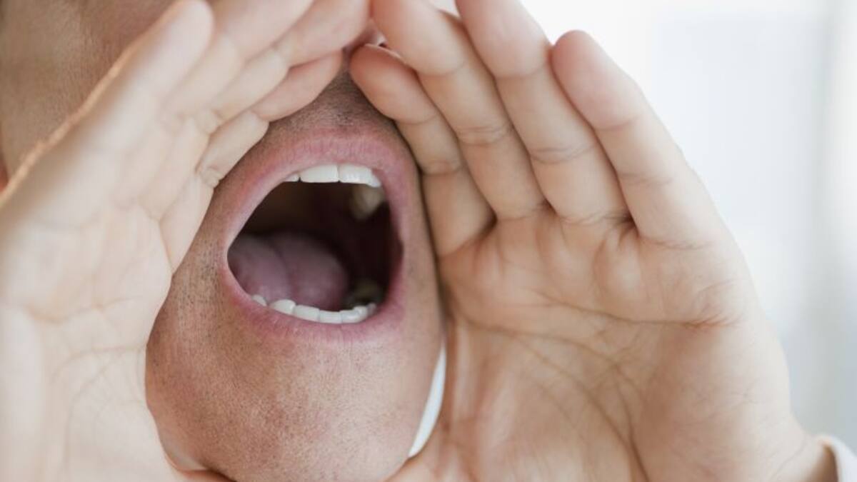 La llavor (20/01/2018)