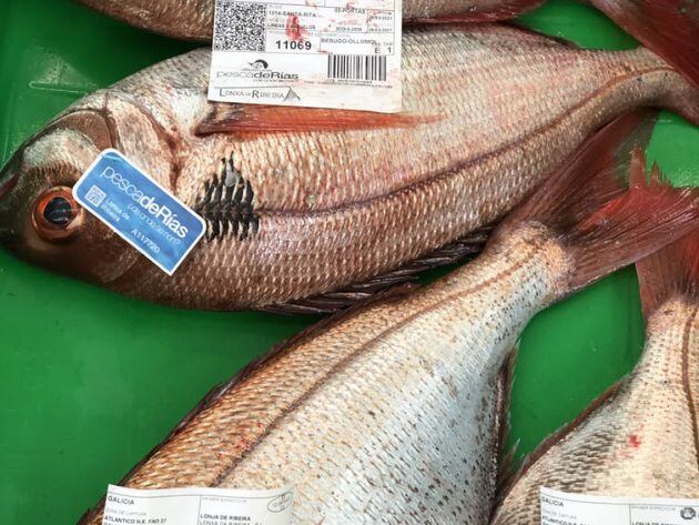 Figura 3. Una subasta en la lonja de Ribeira con Besugos certificados con pescadeRias (flota artesanal) y Pescaenverde (bajo huella de carbono).