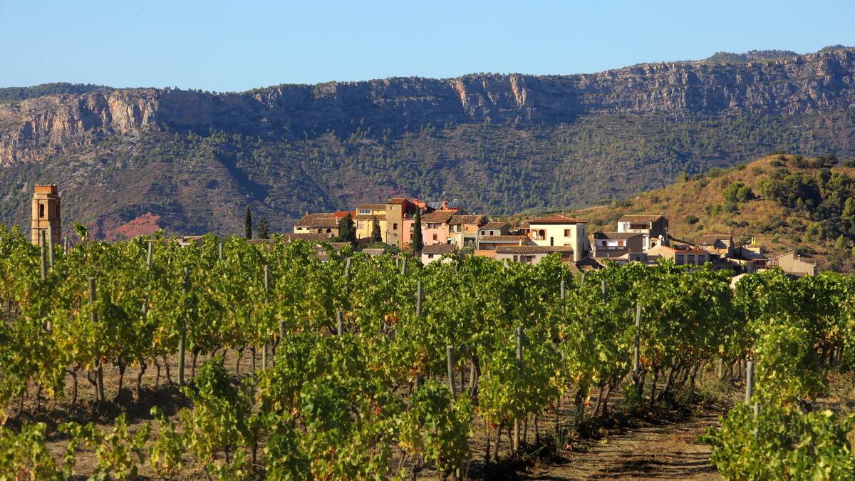 "Cató mi vino rancio sin decirme nada": la historia del vino catalán que acaba de conseguir la máxima puntuación en Estados Unidos