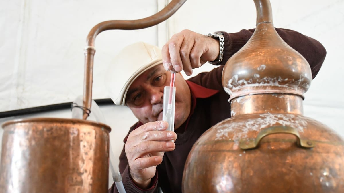 Aguardiente, tapas y verdiales: el fin de semana malagueño se llena de tradiciones navideñas en los pueblos de la provincia