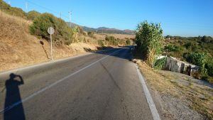 Desbroce de la zona del Faro.