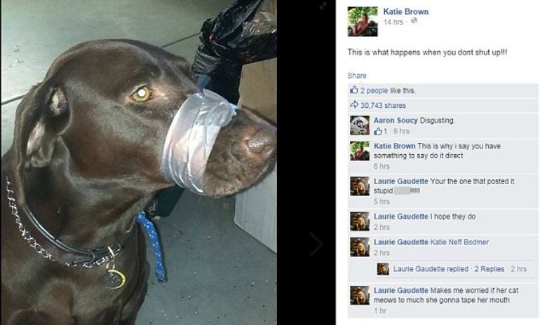 Publicación de Katie Brown.