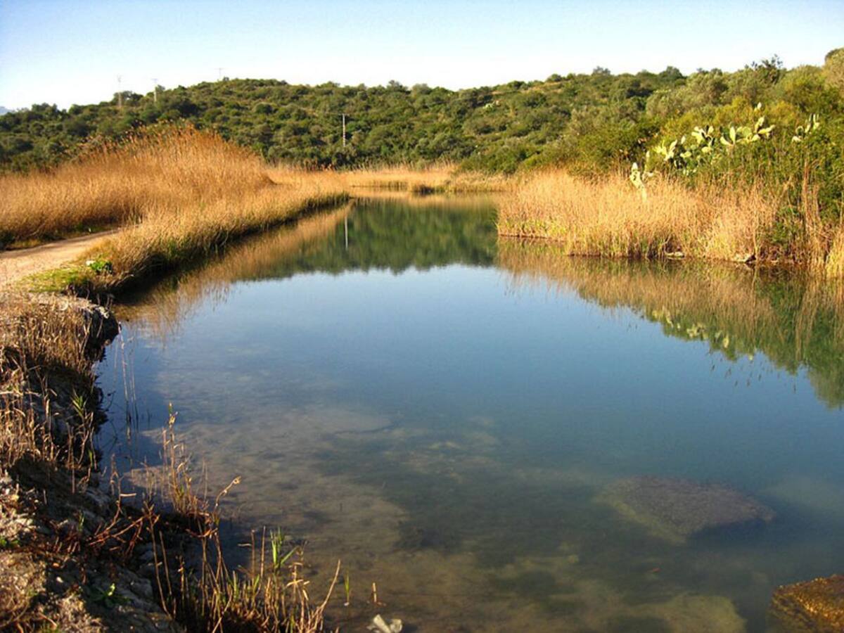Los pescadores deportivos de Oliva organizan un día de limpieza del riu Bullent
