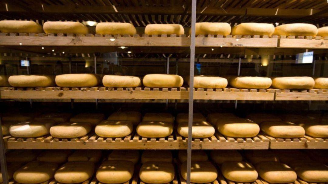 La Xina protegirà la introducció del formatge menorquí al seu país.