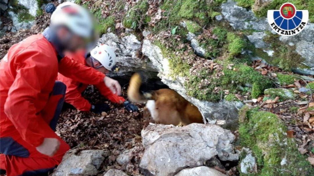 Acceso al zulo localizado en los montes cercanos a Ataun. Imagen de archivo.